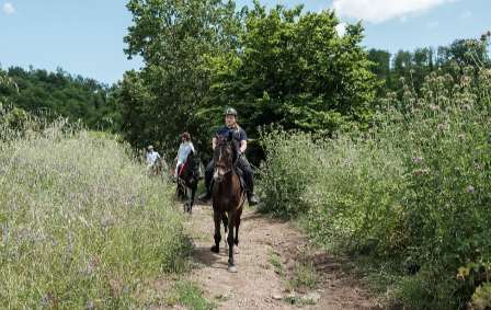 Learn To Ride Italy 